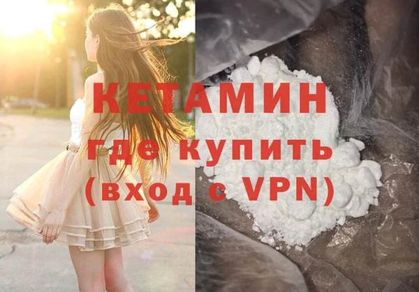амф Щигры