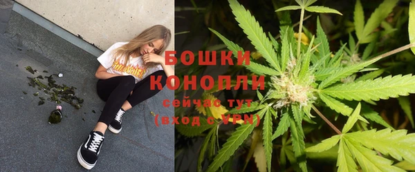 крисы Щучье