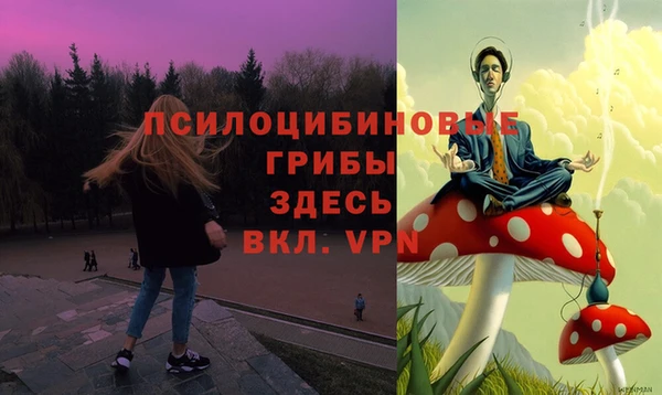 не бодяженный Богородицк