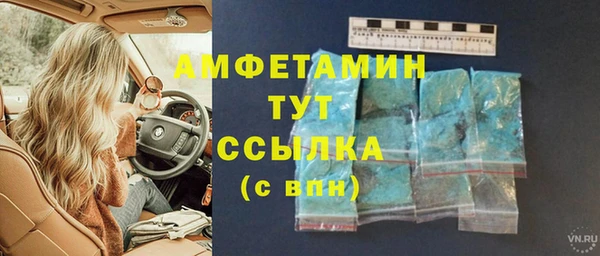 амф Аркадак